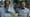 Brazilian Viral Video - cow, scientists and big production