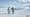 GEICO "The great penguin migration' (2017) 1:00 (USA)