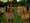 7up - Buck Naked aka Nudist Colony (2002) USA 0:15