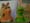 UPS - Nascar - Race the Truck - Kermit and Mis Piggy  (2002) - 0:30 (USA)