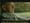 ESPN / Wendy's - Credentials  (2003) - 0:30 (USA)