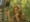 ABC - I'm A Celebrity Get Me Out Of Here (2003) :20  (USA)
