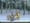 McDonald's - Bench - Scarf (2006) :30  (USA)