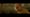 CGI-brows - "This will literally change the face of the motion picture industry" Mark Kermode
