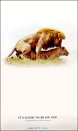 Lions ad