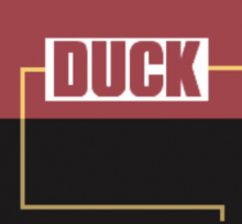 duck's picture